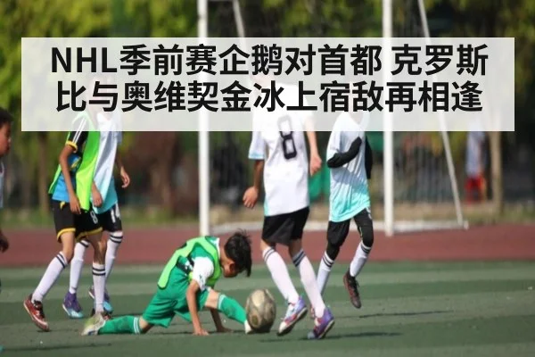 NHL季前赛企鹅对首都 克罗斯比与奥维契金冰上宿敌再相逢
